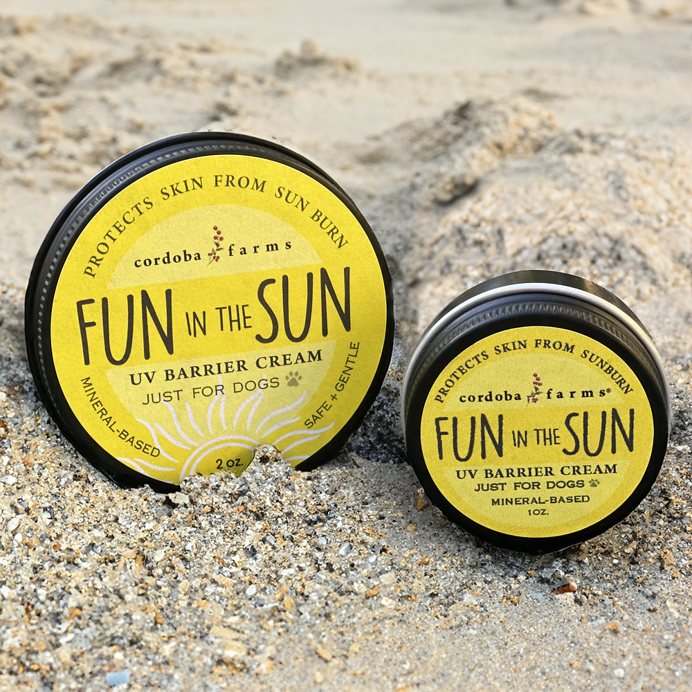 Fun In The Sun