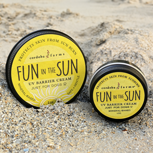 Fun In The Sun
