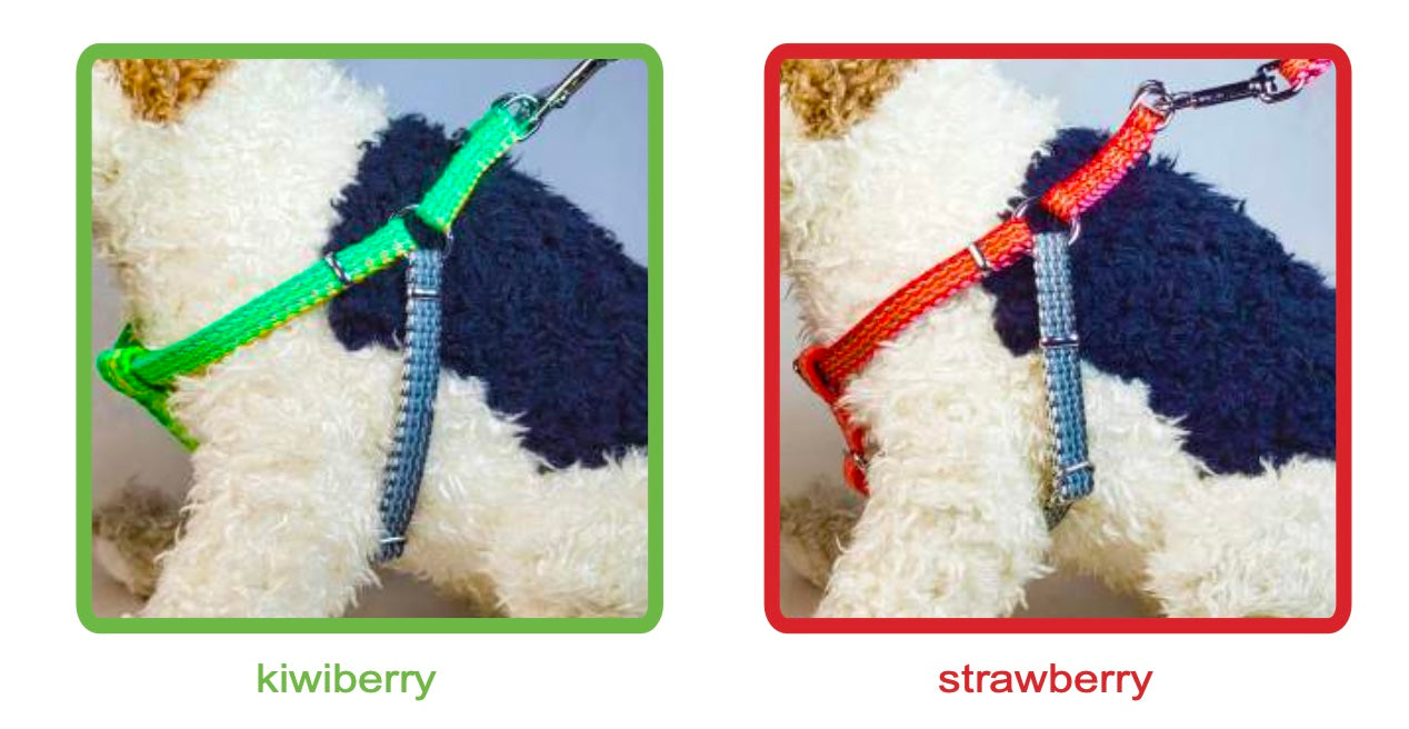 Dog Harness- Haight Ashberry Reflective