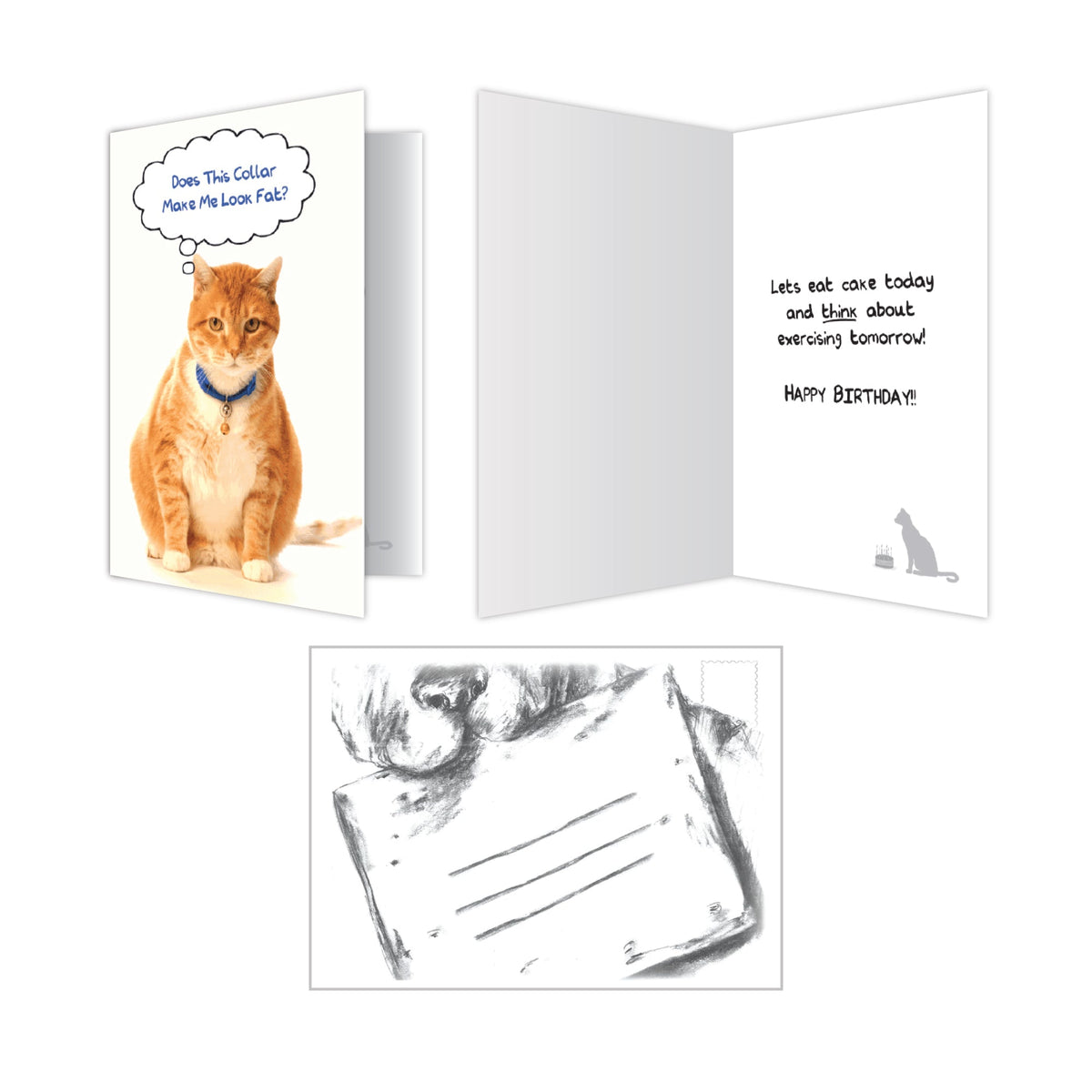 Dog Speak Cat Birthday Cards pack showing front interior and back views of the card