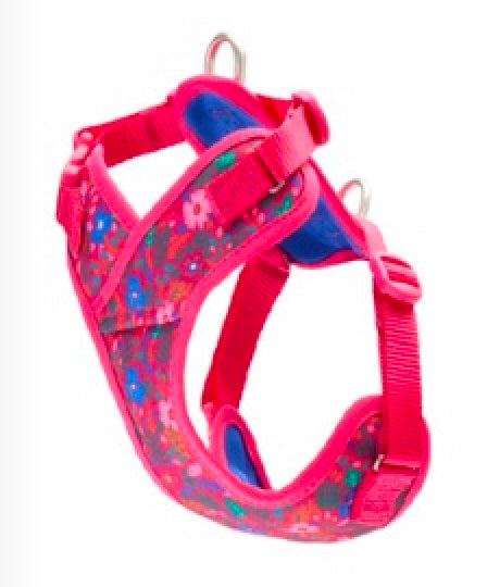 Petite Explorer Harness