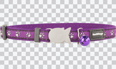Cat Collars - Design - Desert Paws