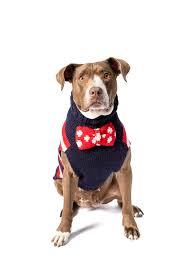 Bow Tie - Sweater