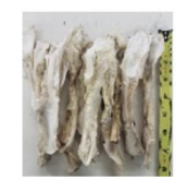 Bison Super Chew Short (25 ches per bag)