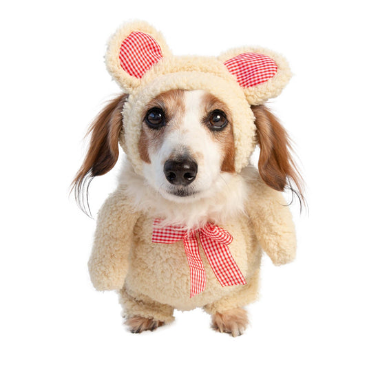 Walking Teddy Bear