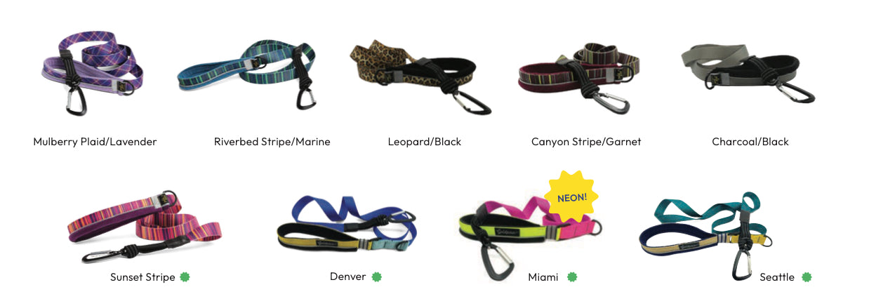 Featherweight Leash
