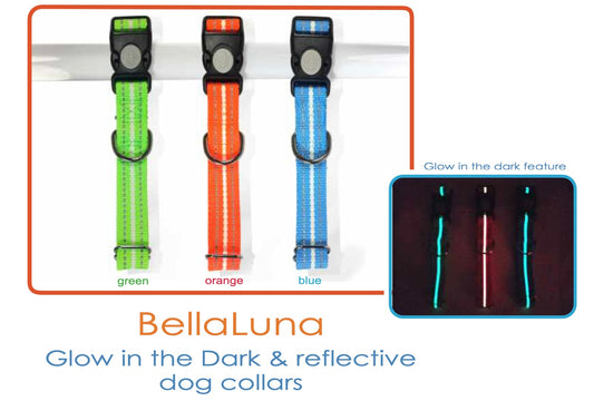 Dog Collar - BellaLuna Glow in the Dark Reflective