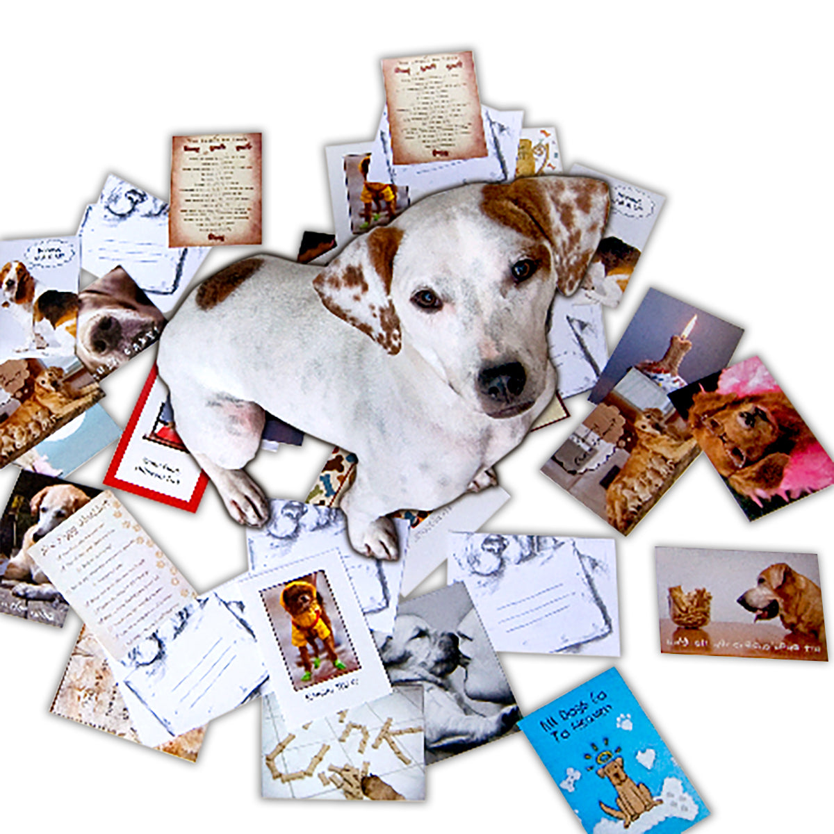 56 Card Selection