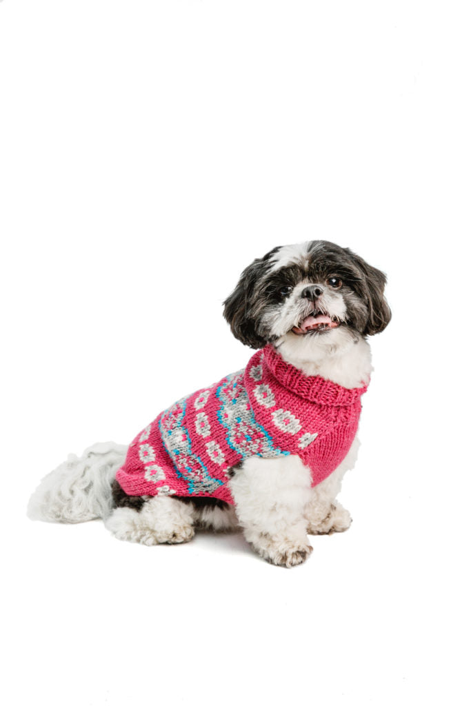 Shih Tzu dog wearing a pink and grey patterned knit sweater
