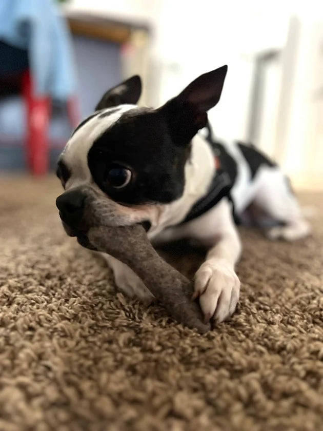 Wool Dog Bone