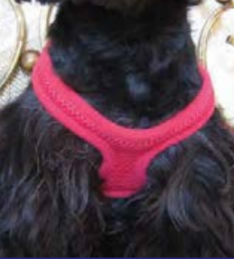 VelPro Mesh ChokeFreeTM Harnesses