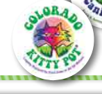 Car Magnets - Colorado Kitty Pot