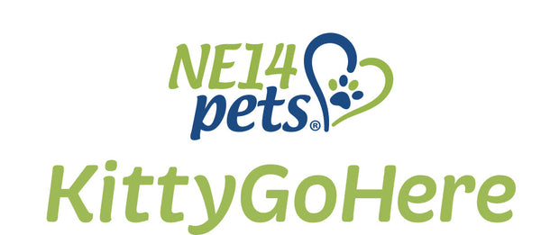 Kitty Go Here (PeckRock)