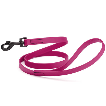 Biothane Waterproof Dog Leash 4 ft