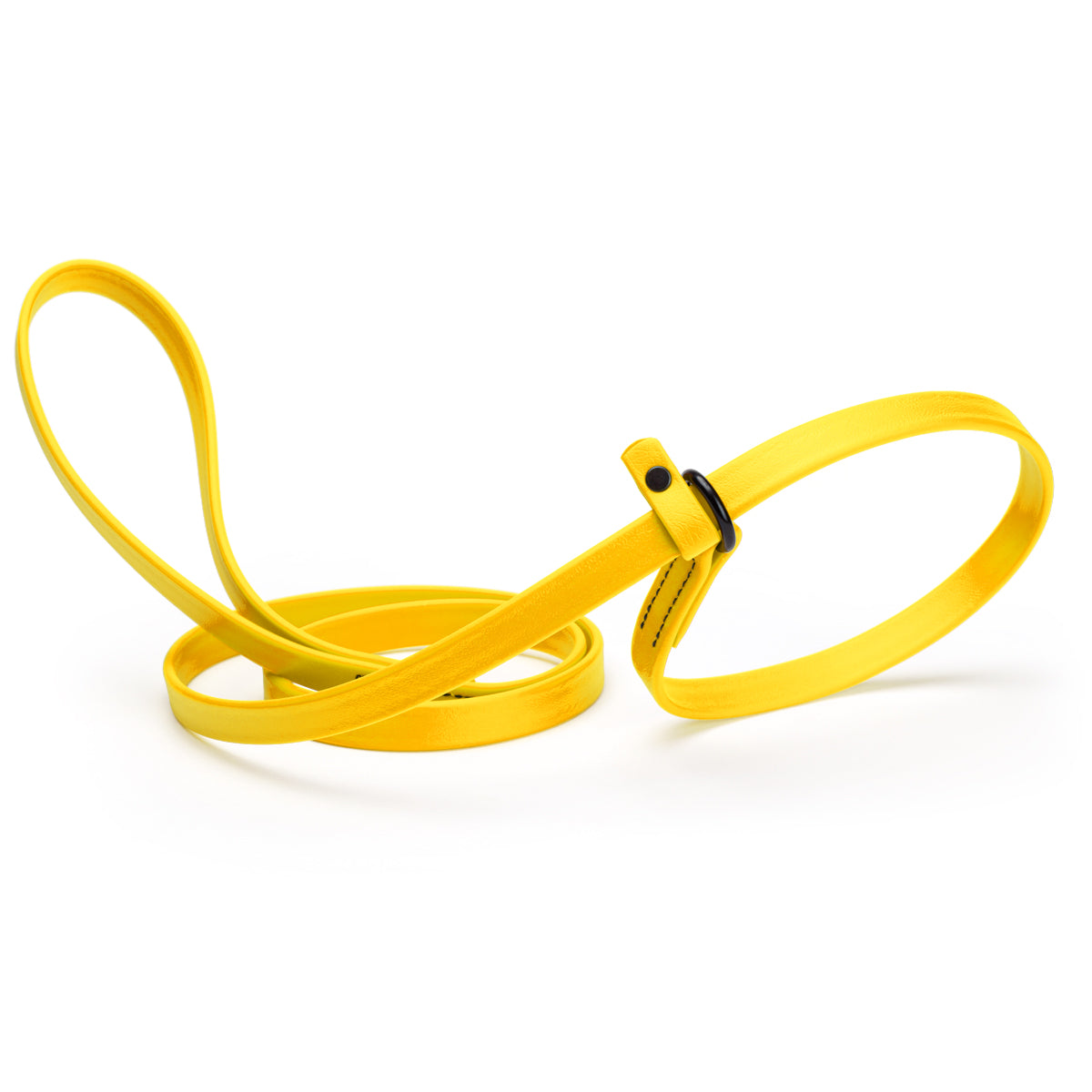Biothane Dog Slip Lead