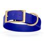 Viper Biothane Waterproof Collar - Brass Hardware - Size XXL, 1.5 in Wide (24 to 28 inches)