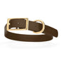 Viper Biothane Waterproof Collar - Brass Hardware - Size XL (22 to 25 inches)