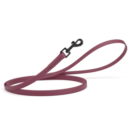 Biothane Waterproof Dog Leash 4 ft