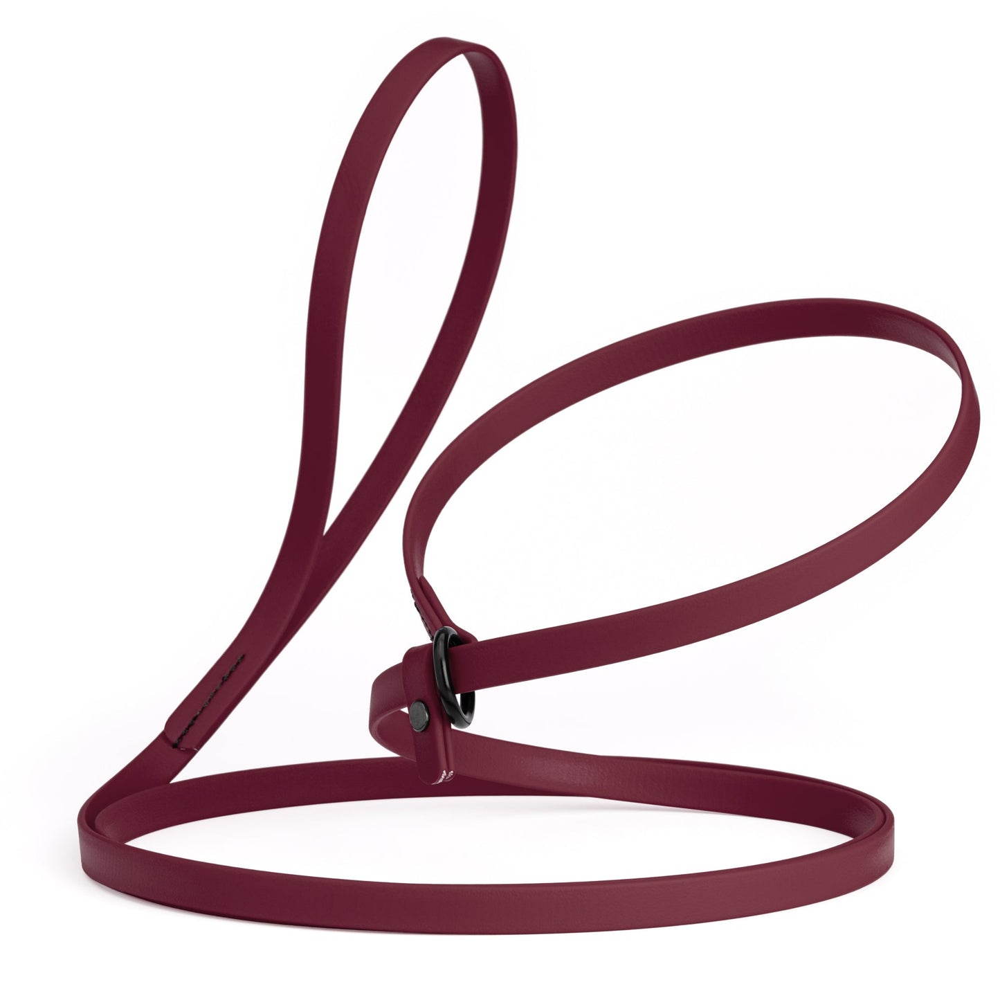 Biothane Dog Slip Lead