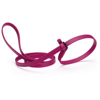 Biothane Dog Slip Lead
