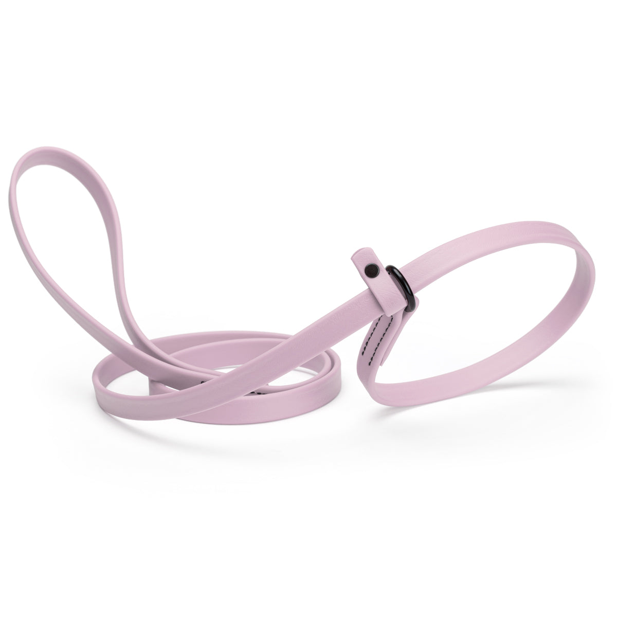 Biothane Dog Slip Lead