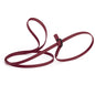 Biothane Dog Slip Lead