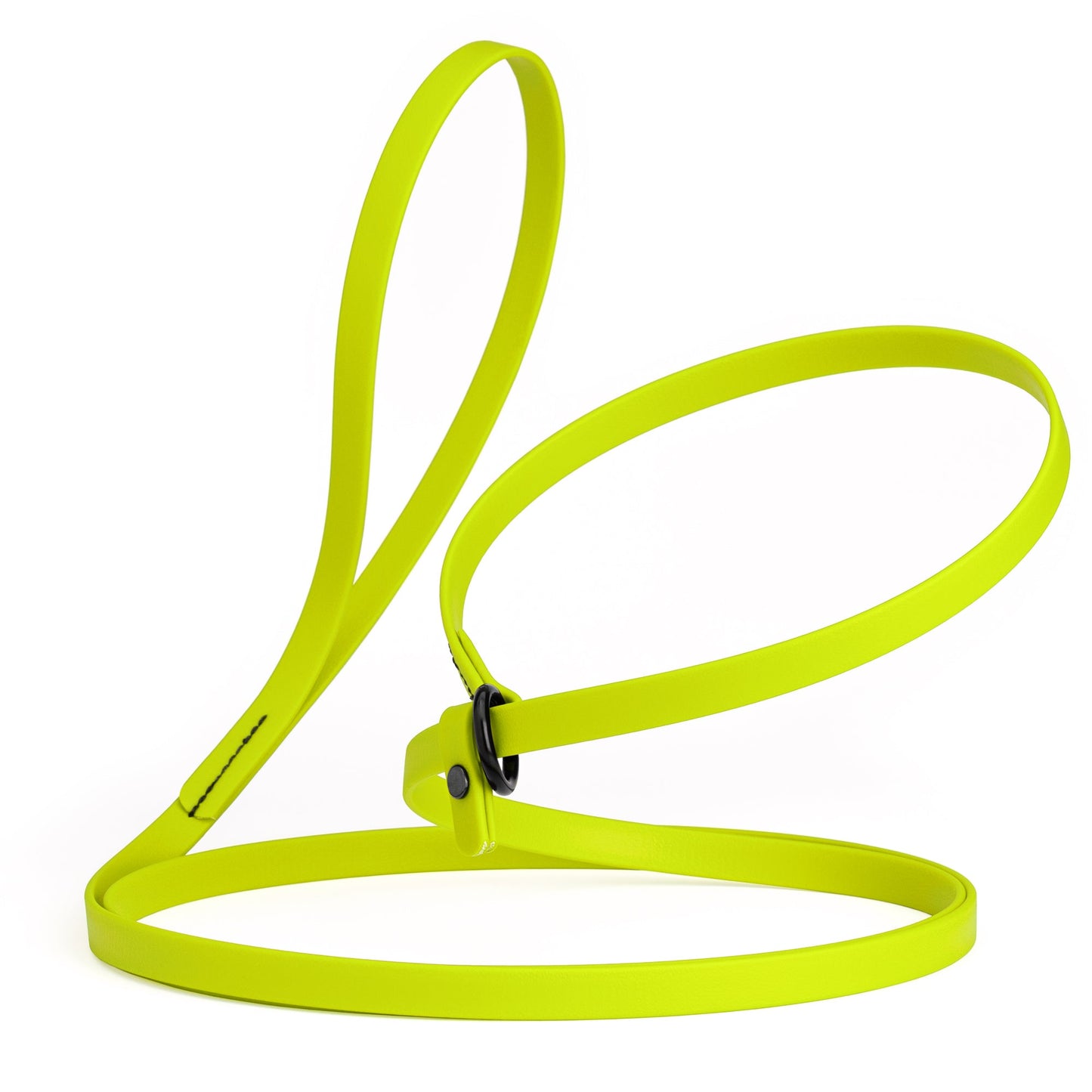 Biothane Dog Slip Lead