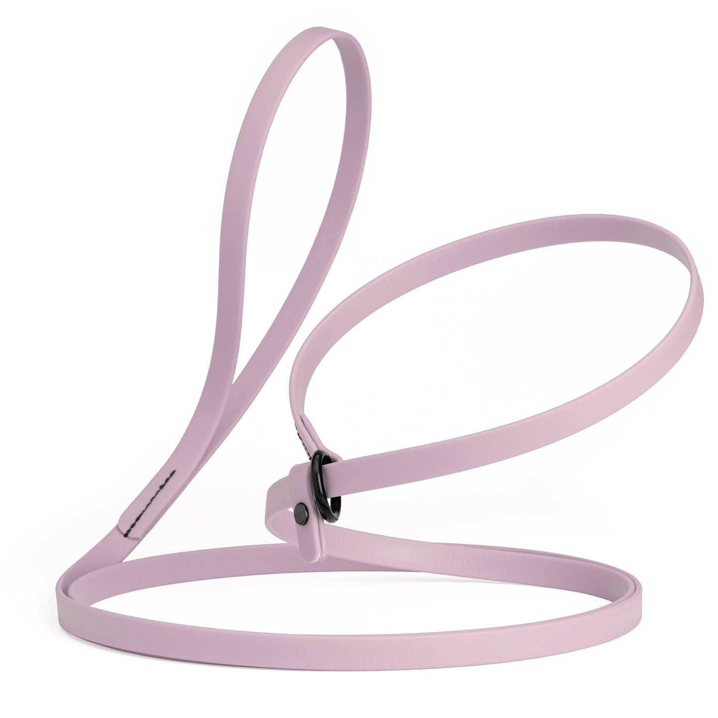 Biothane Dog Slip Lead