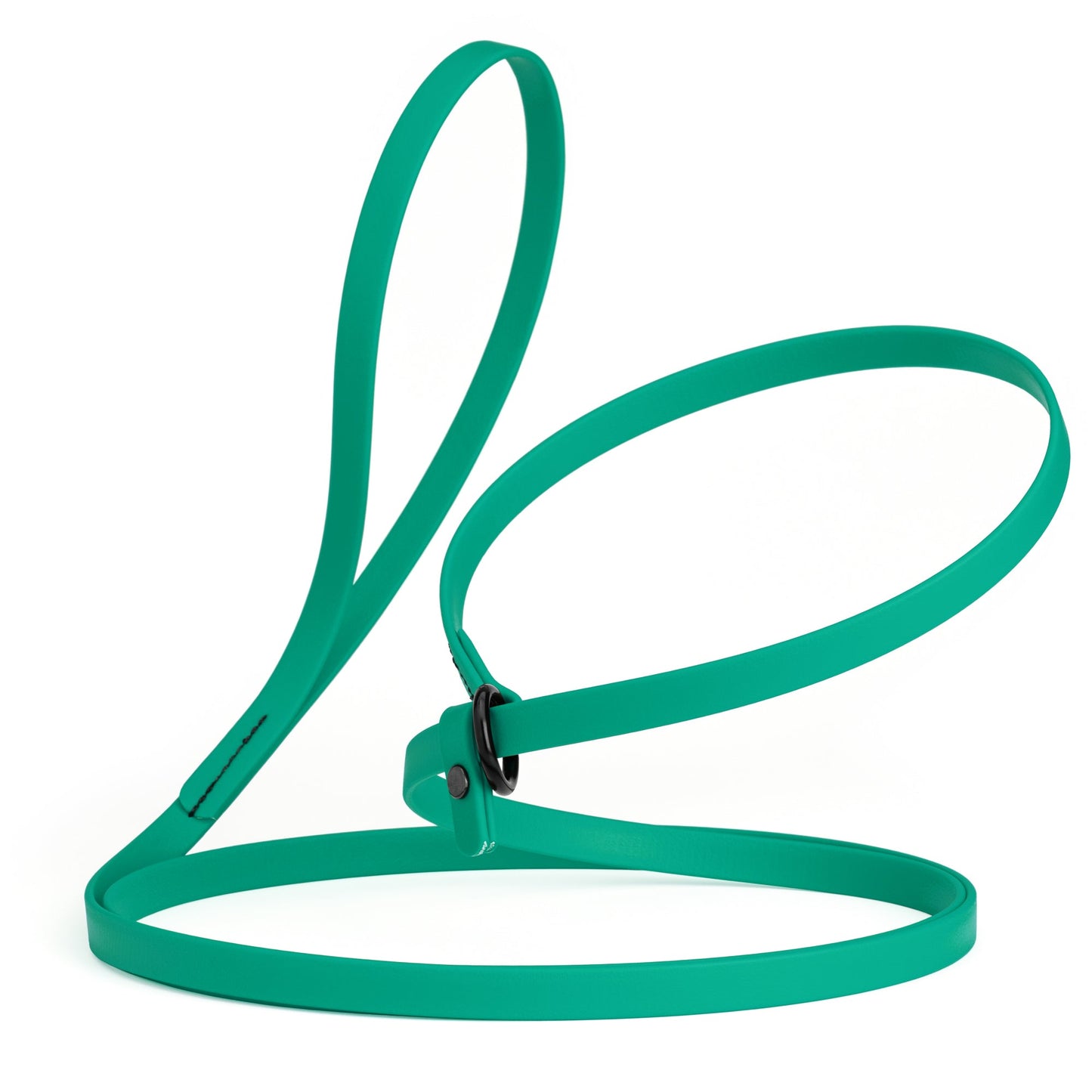 Biothane Dog Slip Lead