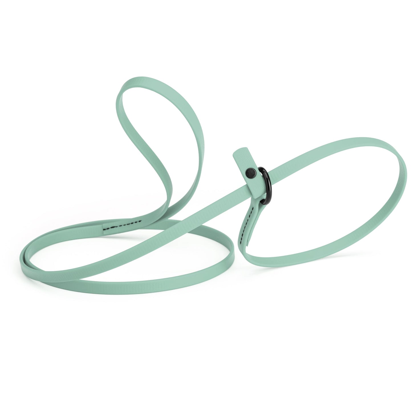 Biothane Dog Slip Lead