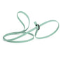 Biothane Dog Slip Lead