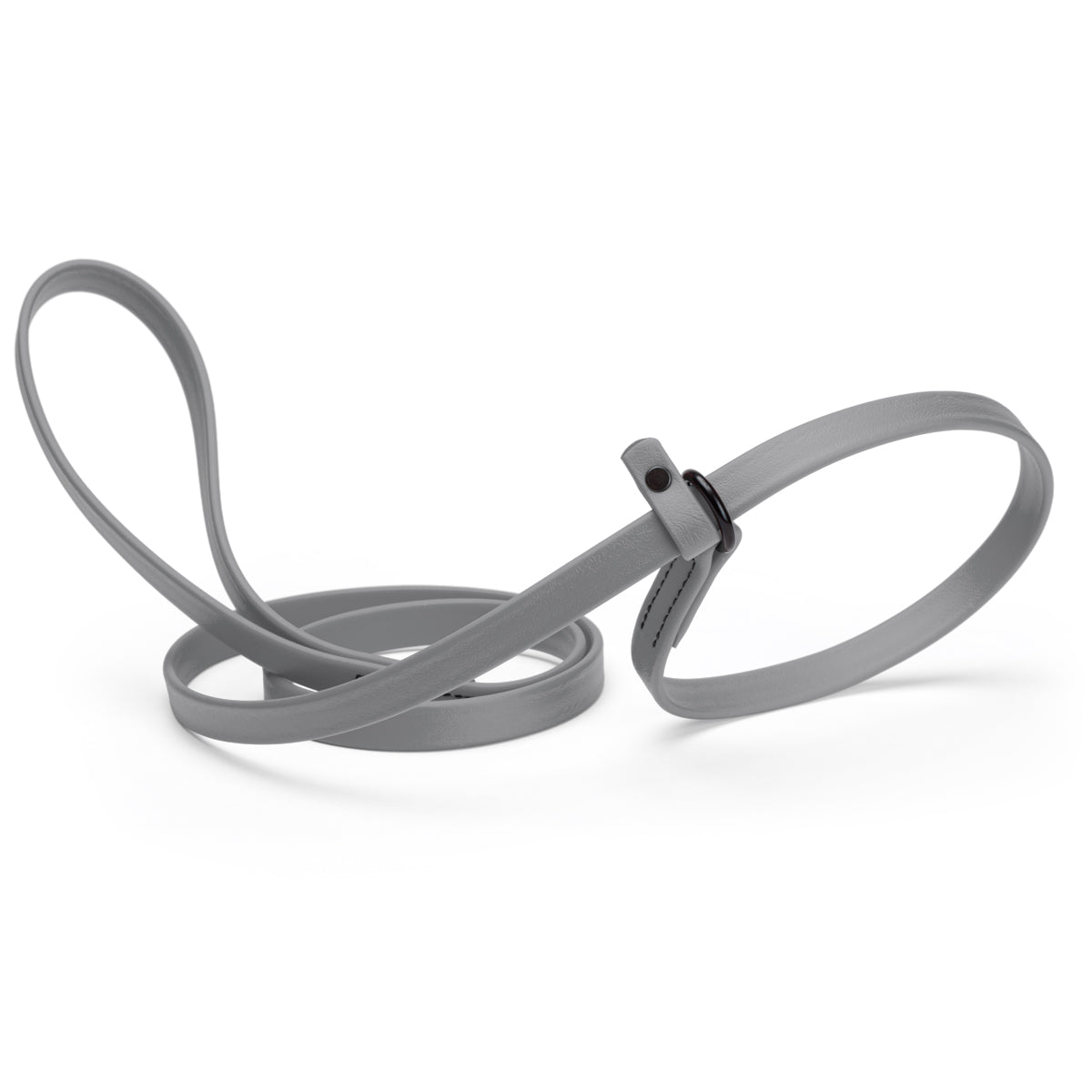 Biothane Dog Slip Lead