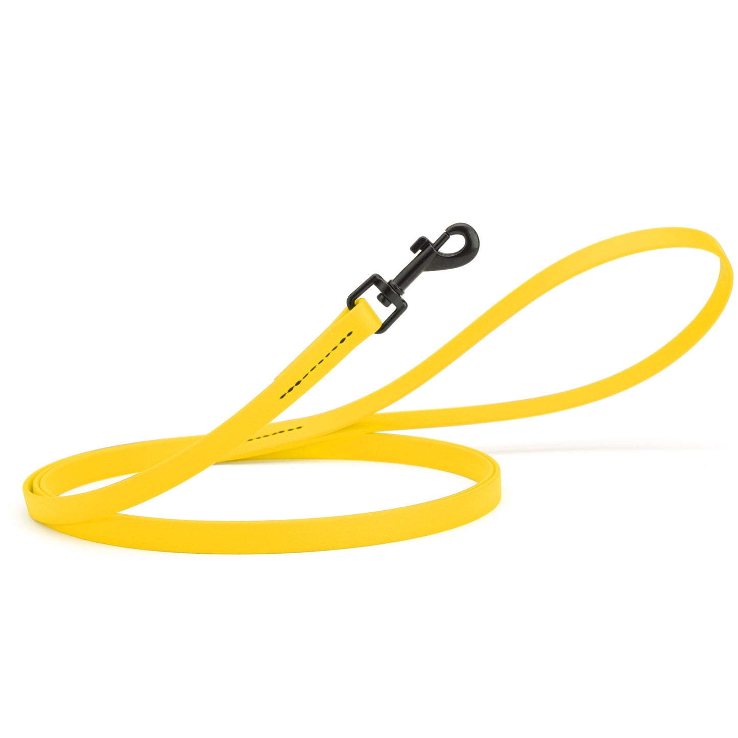 Biothane Waterproof Dog Leash 4 ft