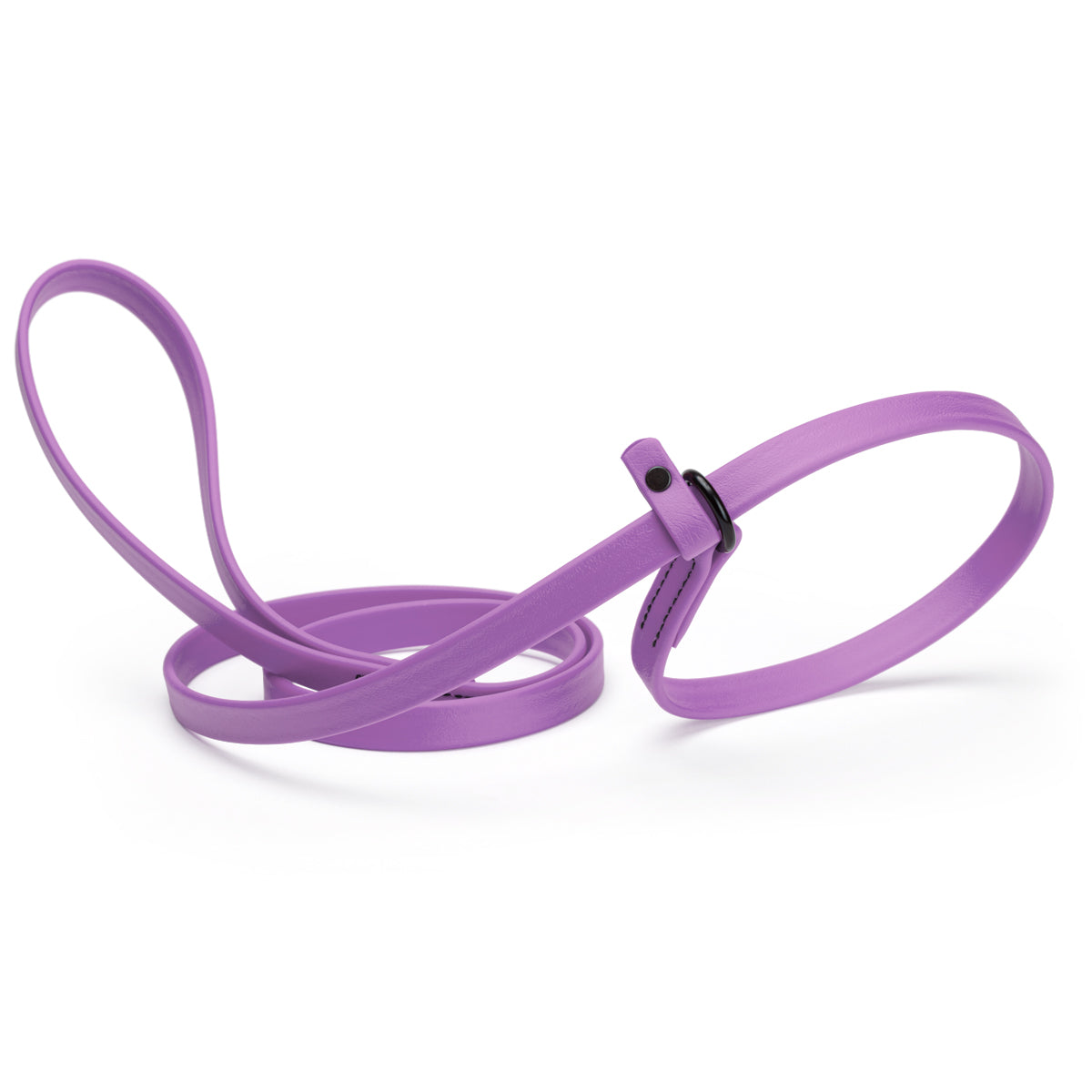 Biothane Dog Slip Lead