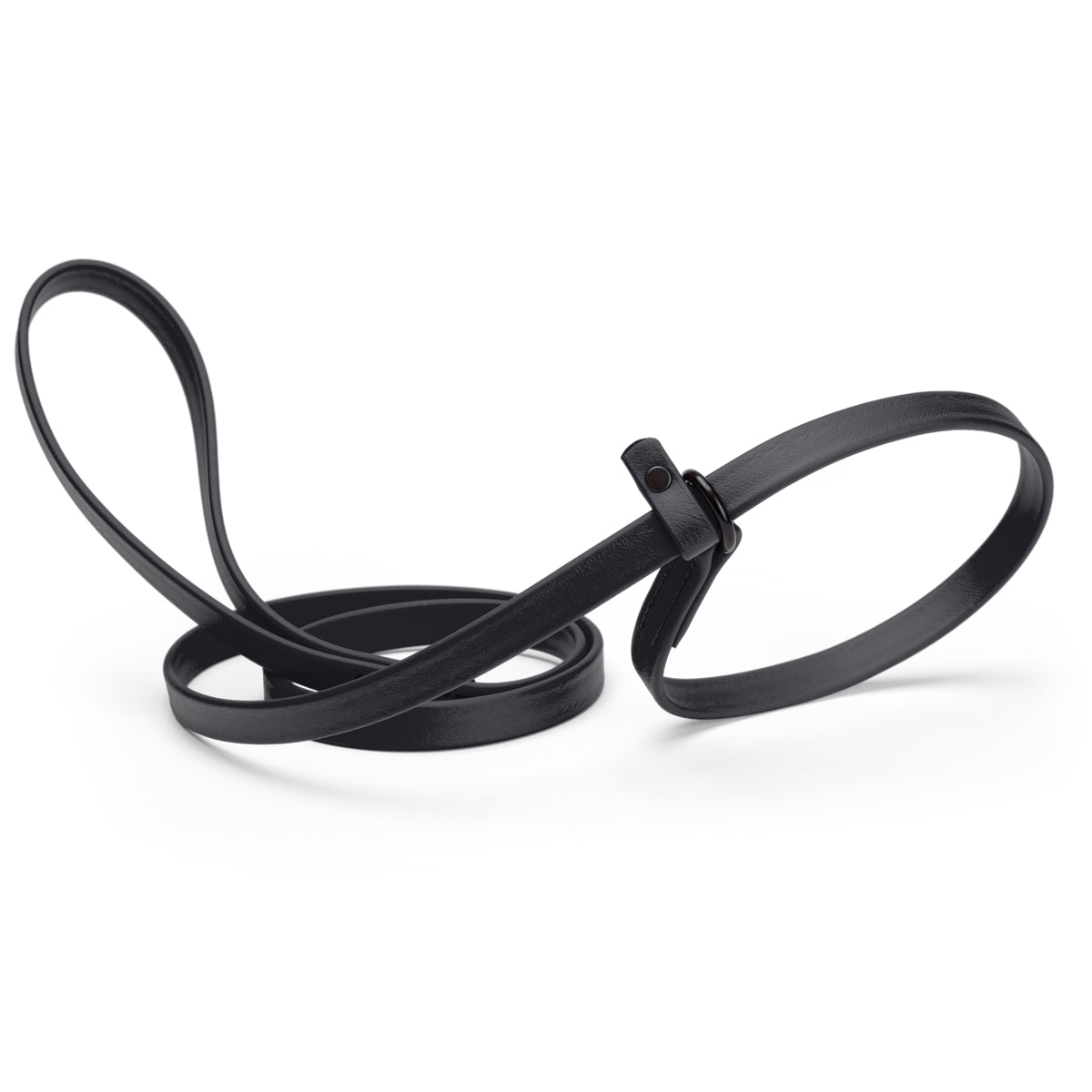 Biothane Dog Slip Lead