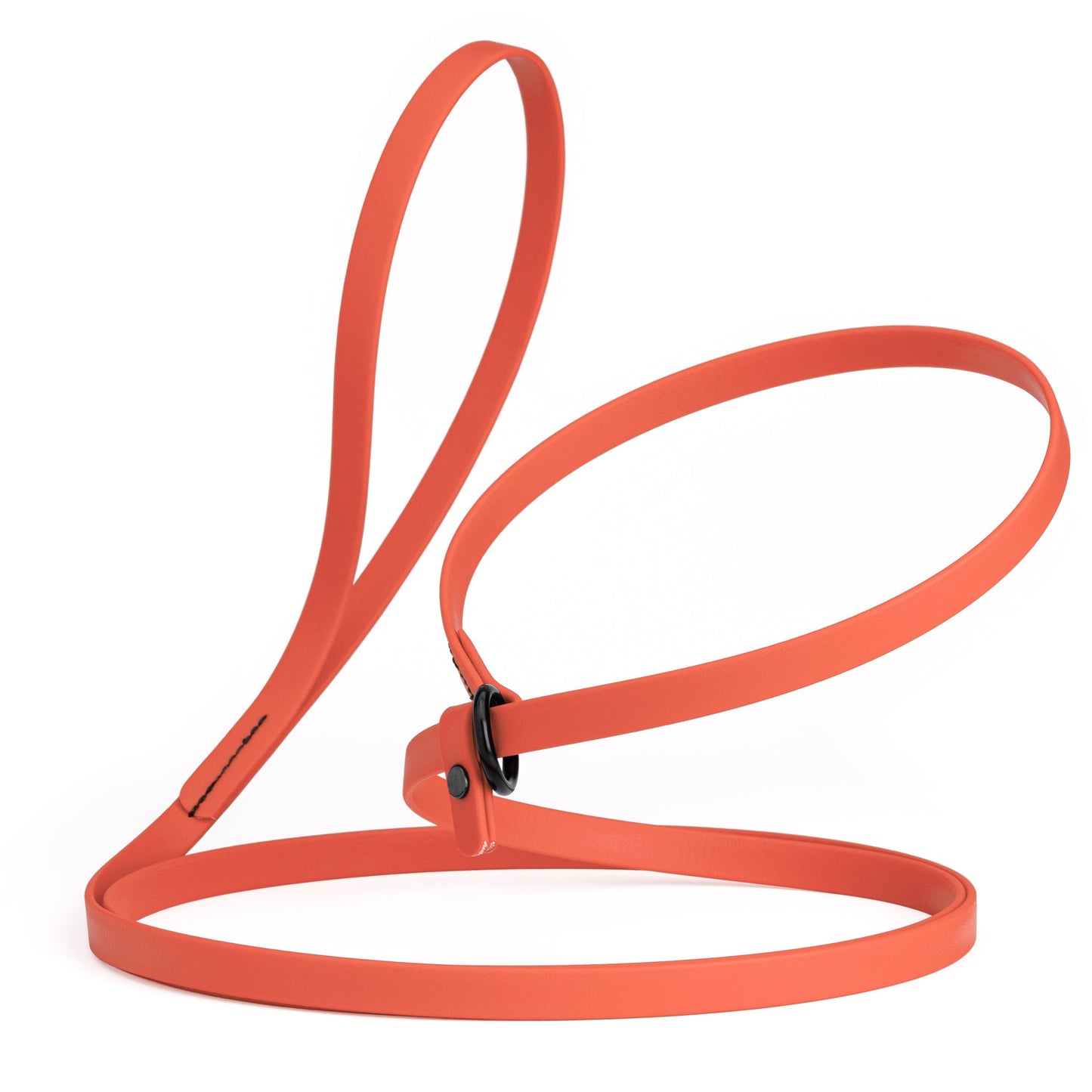 Biothane Dog Slip Lead