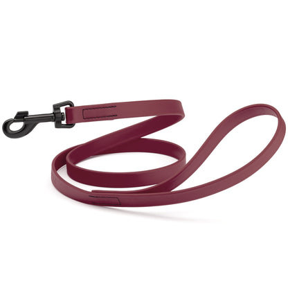 Biothane Waterproof Dog Leash 4 ft