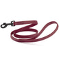 Biothane Waterproof Dog Leash 4 ft