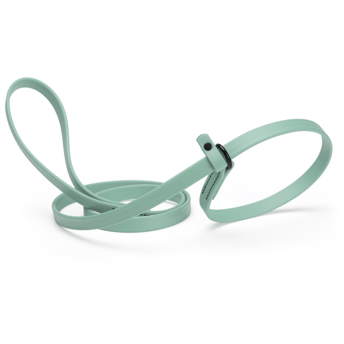 Biothane Dog Slip Lead