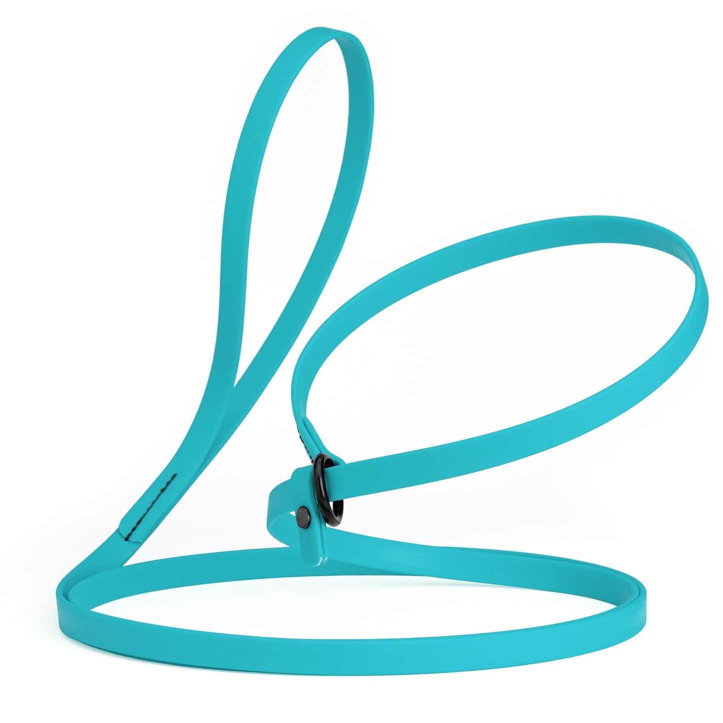 Biothane Dog Slip Lead