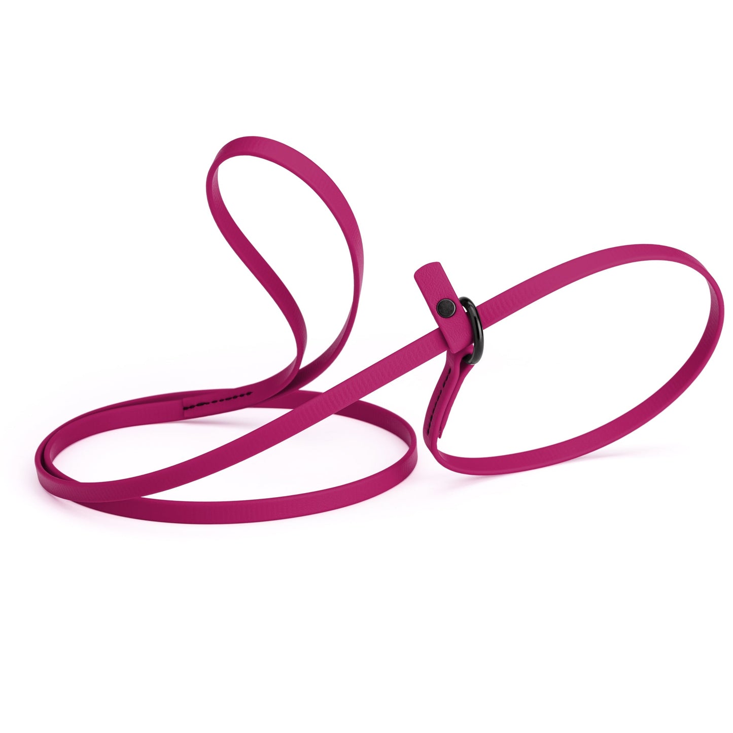 Biothane Dog Slip Lead