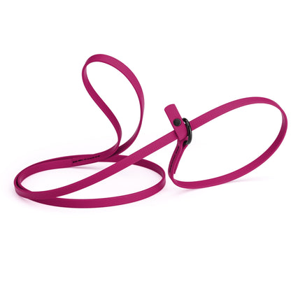 Biothane Dog Slip Lead