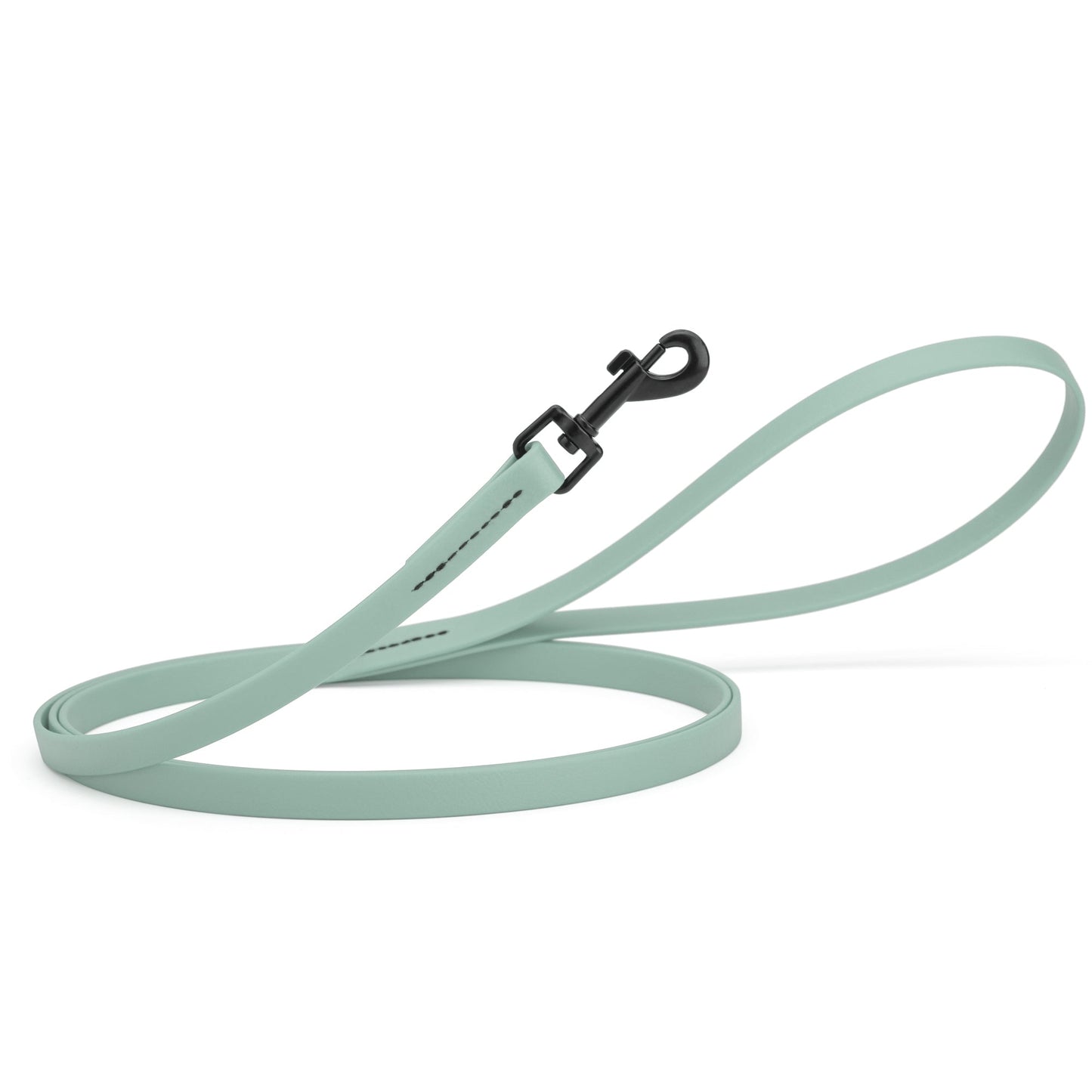 Biothane Waterproof Dog Leash 4 ft