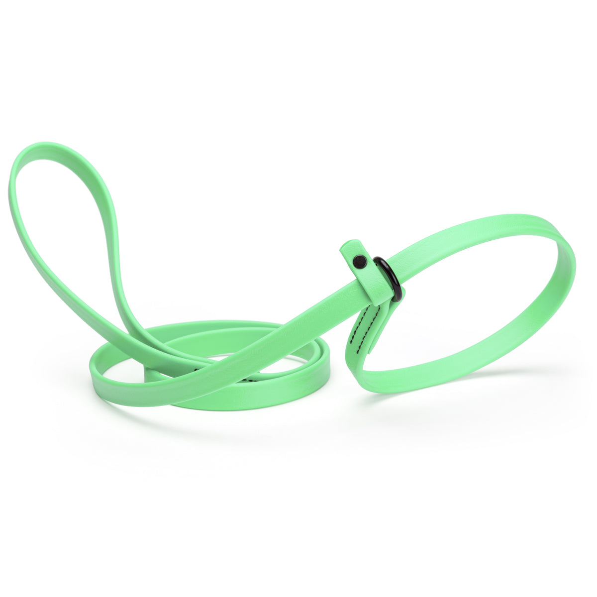 Biothane Dog Slip Lead