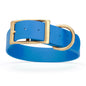 Viper Biothane Waterproof Collar - Brass Hardware - Size XXL, 1.5 in Wide (24 to 28 inches)