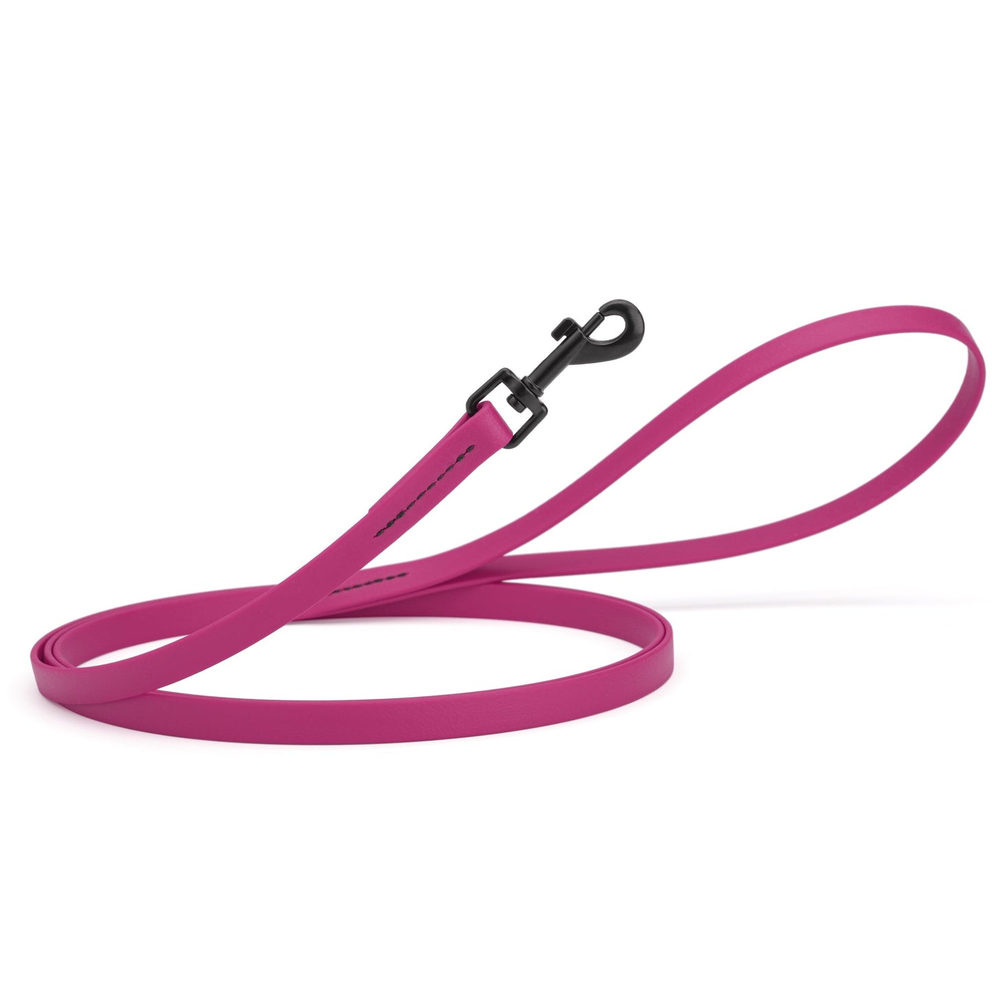 Biothane Waterproof Dog Leash 4 ft