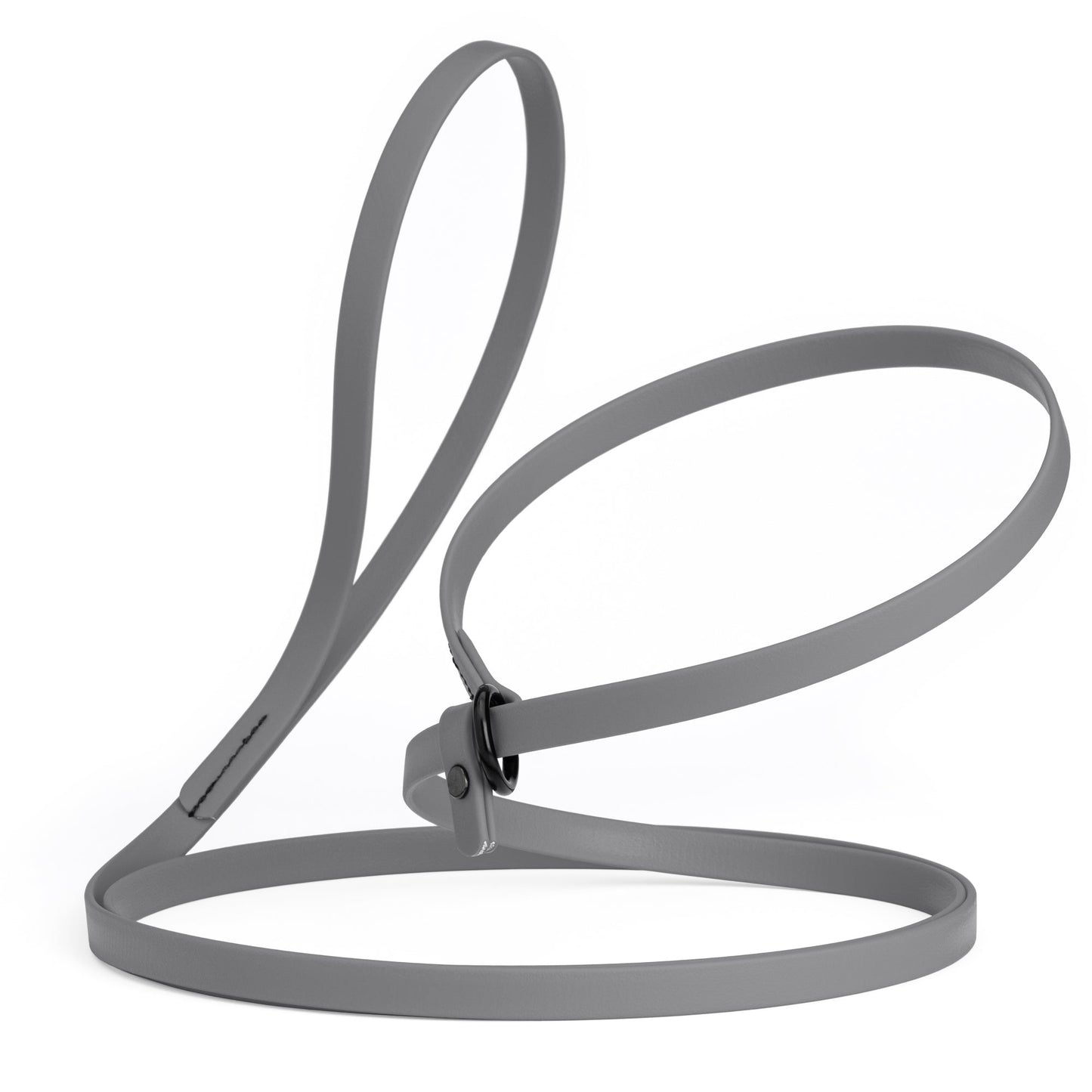 Biothane Dog Slip Lead