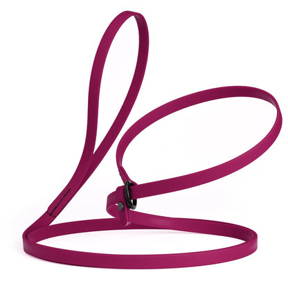 Biothane Dog Slip Lead