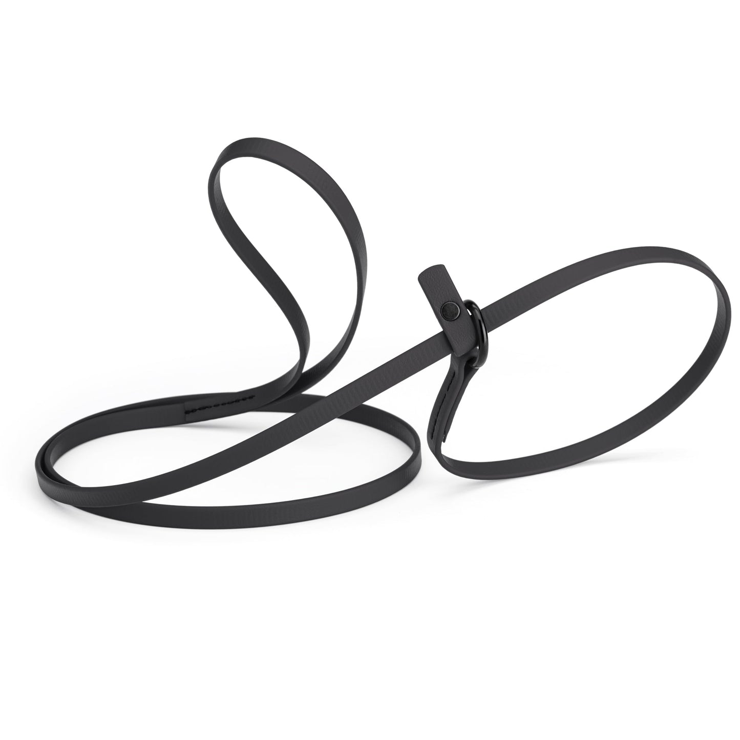 Biothane Dog Slip Lead