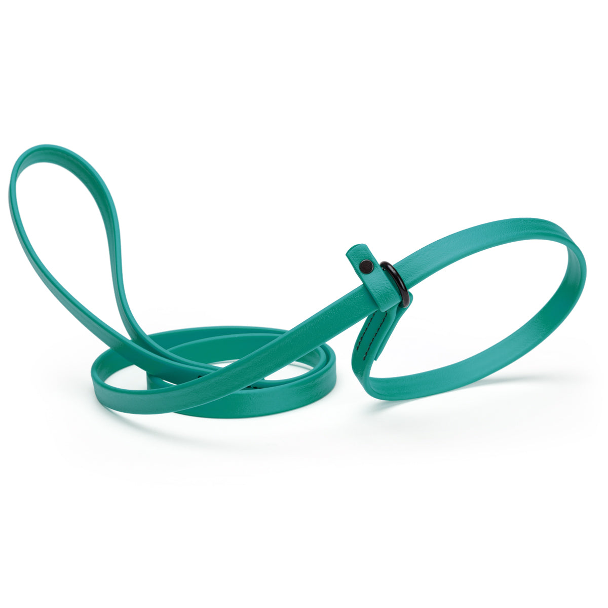 Biothane Dog Slip Lead